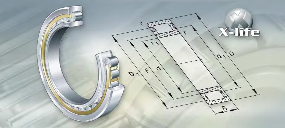 NU2368-E-M1 bearing drawing NU2368-E-M1 bearing drawing